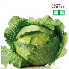 국내산 유기농 양배추, 1박스, 4kg