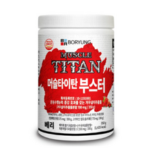 보령 머슬타이탄 부스터 프로틴파우더 베리, 350g, 1개