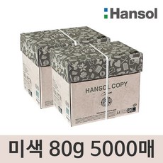 한솔복사용지 미색 A4 (80g) 2BOX 5000매, 단품, 상세페이지 참조