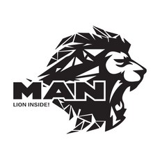 만 트럭 스티커 MAN Lion, A_type, 실버, 1개