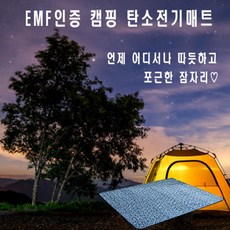 260전기장판