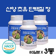 네덜란드육아법