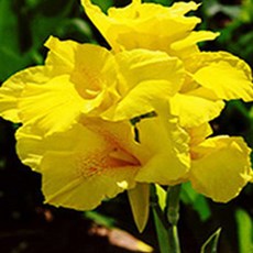 f2a78ae7f5697751d474aa07ec79e40c28a7615e2c08a9812e74daaf680d.jpg