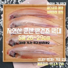 [산지직송] 자연산 군산박대 대서양 기니 원양산 반건조 박대 5미 26~29cm, 1세트