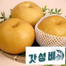 해일농산 나주배 7.5kg 황금배 원황배 햇배 고급과일, 1, 본상품선택