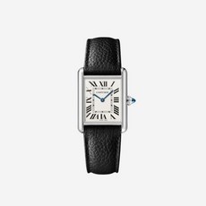 탱크머스트라지스틸