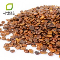 자연닮음 볶은 산조인차 300g