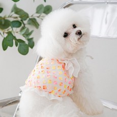 강아지데이지프릴니트