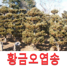 28cf3cfc4983f832f11798e991e15702a87651fd1134ef1fea38c55a38d3.png