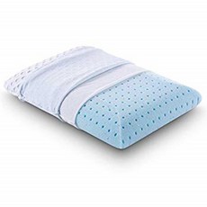 Comfort & Relax Ventilated Memory Foam Bed Pillow with AirCell Technology Standard 1-Pack