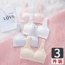 캐미솔 소녀 내복 발육기 중학생