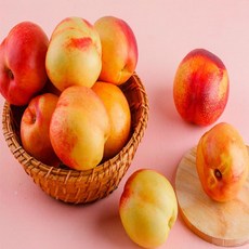 금홍천도복숭아