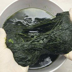 [해동찬가] 국내산 장흥 찰 매생이, 국내산 장흥 찰 매생이 100g X 10팩, 10개