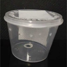 사마귀키우기 왕사마귀 사마귀 투명 애완 왕, 소형모델