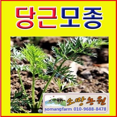 b1e68c7f8230e9a9655bf6190ff907d2e9dc05a3fd6d503f397b797507e0.png