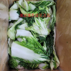 절임배추 우거지10kg, 1개, 10kg