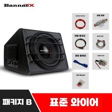 차량용 서브 우퍼 액티브 앰프 전원 스피커 아날로그