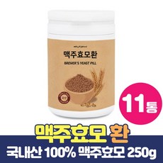 맥주효모환효능