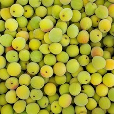 매실5kg-추천-상품