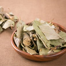 신토불이 국산 약초 참가시나무잎 300g, 154S_국산참가시나무잎300g