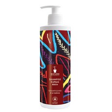 비오텀 카페인 액티브 샴푸 500ml, 단일상품