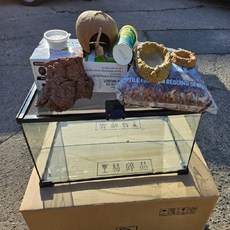  테라리움 소라게사육셋트 DJ50X30X25cmBT09 