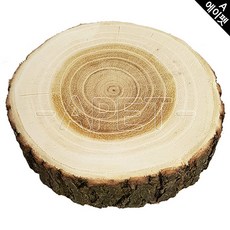 썬양의자연주의