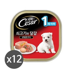 시저 1세이하 쇠고기와 달걀과 당근 캔, 12개
