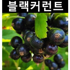 4c5d1c1b4dba9518e3de5e59eb6a76dd1e139d0cf600c5e9cc6863ca3ebf.jpg