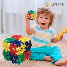브레인숲와플블럭