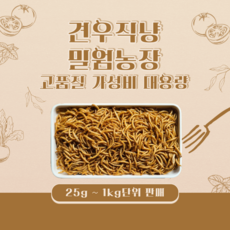 [고품질 대용량 밀웜 밀기울제공] 살아있는 밀웜 약 8000마리(1kg) (크기 구분X)