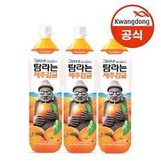 제주귤술