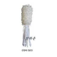 신장대 TOP01