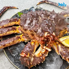 도리마켓 직수입 프리미엄 활 레드 킹크랩 수율 대박, 1개, 2.4~2.6kg