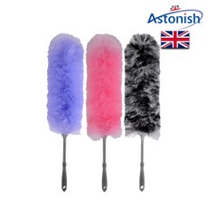 아스토니쉬먼지털이