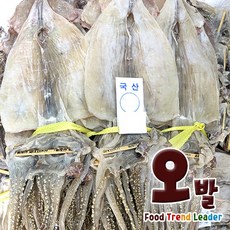 [오발] 국내산 마른오징어1.5Kg 1축 20마리, 1.5kg(20마리), 1개