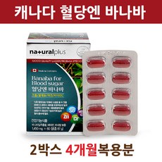 당질제한식