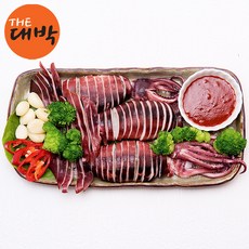 총알오징어제철