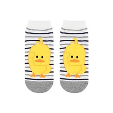 병아리양말
