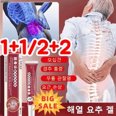 1+1근골형 해열 ...