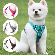 강아지 끈 민소매 애견 가슴 멜빵리플렉스 통풍 고양이 줄 강아지 줄, 보여진 바와 같이, 1개