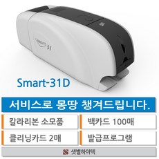 smart31s