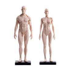 해외 마네킹 아트 캐릭터 아날로그 수판기하학체요가 사실적 구조수, 옵션04