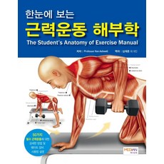 운동해부학
