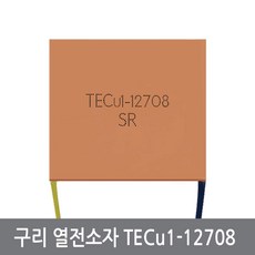 12a열전소자