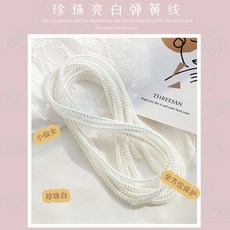 아이폰진주충전기보호