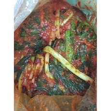 편의점파김치