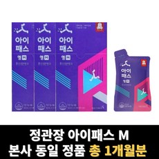 아이패스 엠 정관장 아이패스m 홍삼 진액 스틱 진세노이드 총 1개월분, 2L, 3개