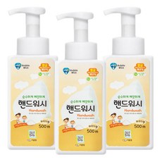 버블윅 순파워더향 손세정제 핸드워시 용기 500ml x 3개