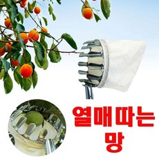 열매마켓